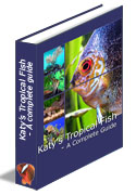 Tropical fish book
